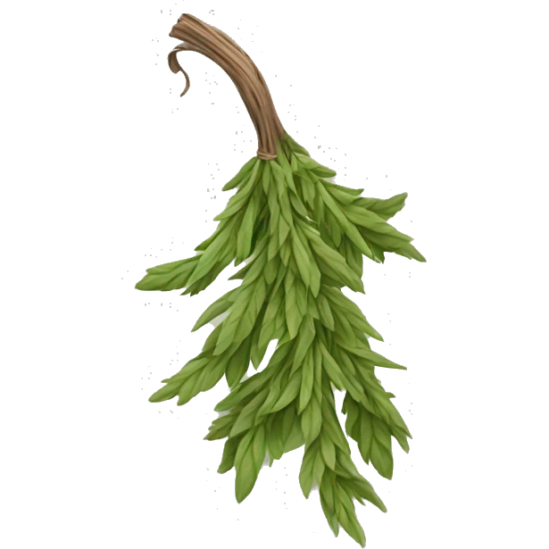 Witches dried herb emoji