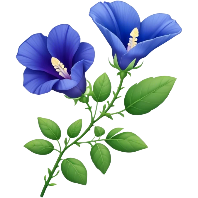 single Blue Butterfly Pea flower, stem, leaf emoji