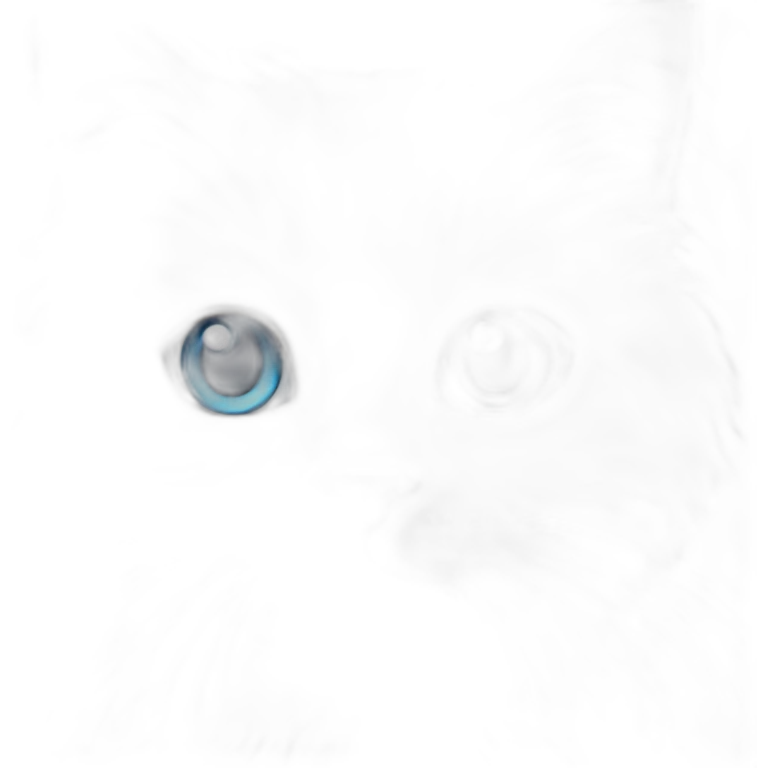 white british long hair kitten blue eyes emoji