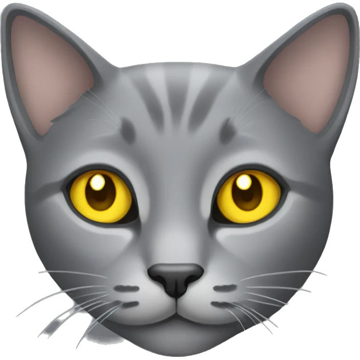Grey cat with yellow eyes  emoji