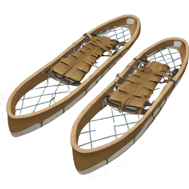 snowshoes emoji