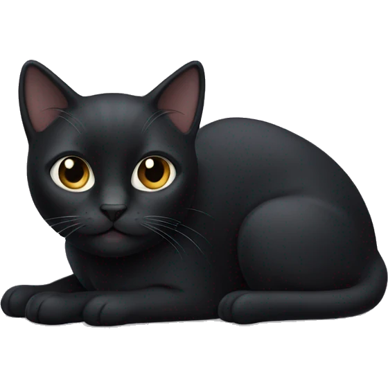 Black cat with white feet’s  emoji