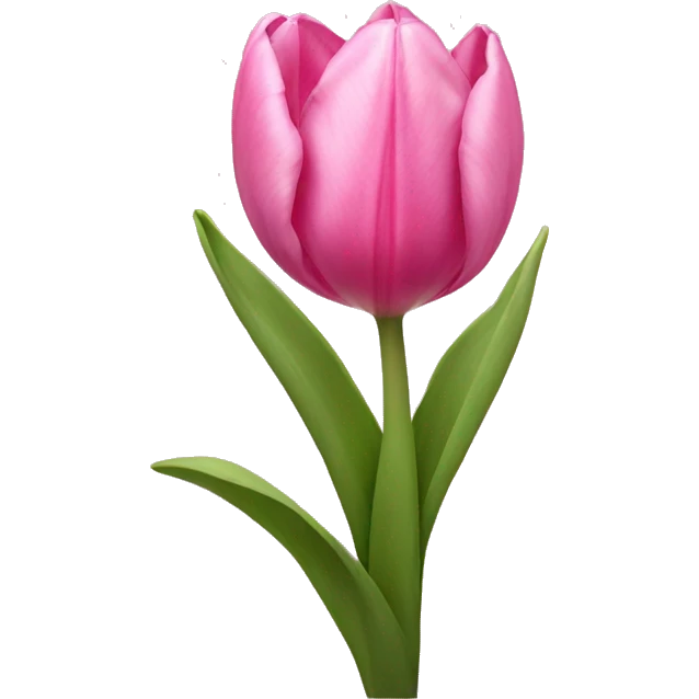 Pink tulip emoji