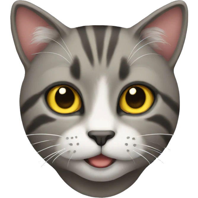 A cat  emoji