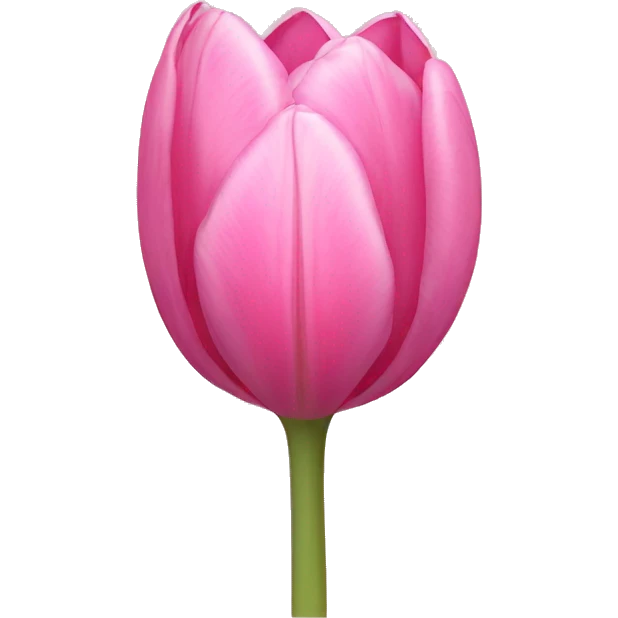 a pink tulip emoji