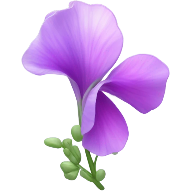 A sweet pea  emoji