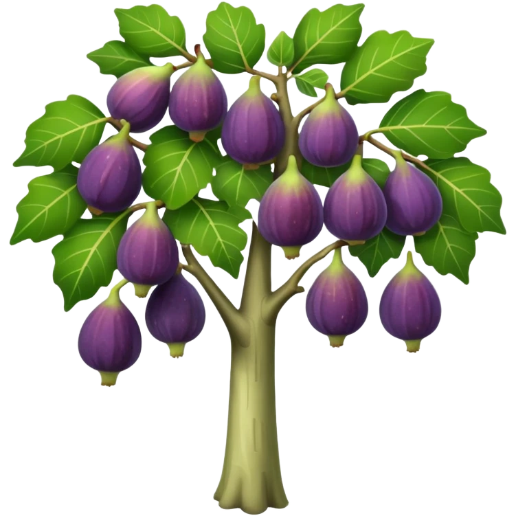 fig tree  emoji