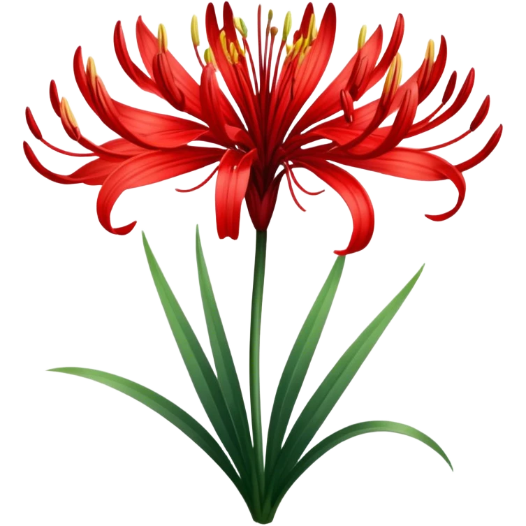lycoris radiata emoji