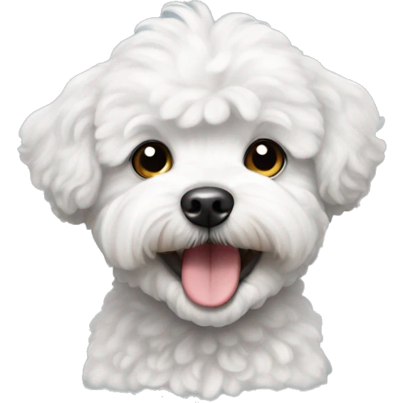 White maltipoo with gray ears smiling emoji