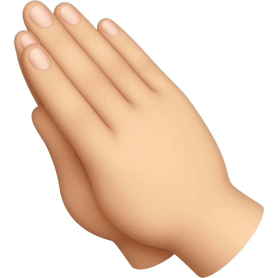 🤜🙏 non le coup de point tape dans la main arrêté en 2d emoji