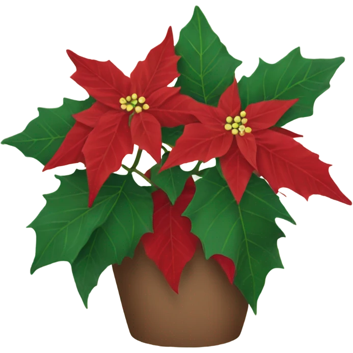 Poinsettia emoji