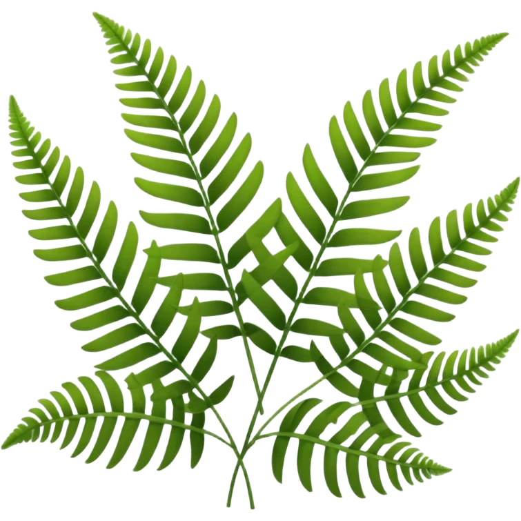 lush green fern fronds, natural plant emoji