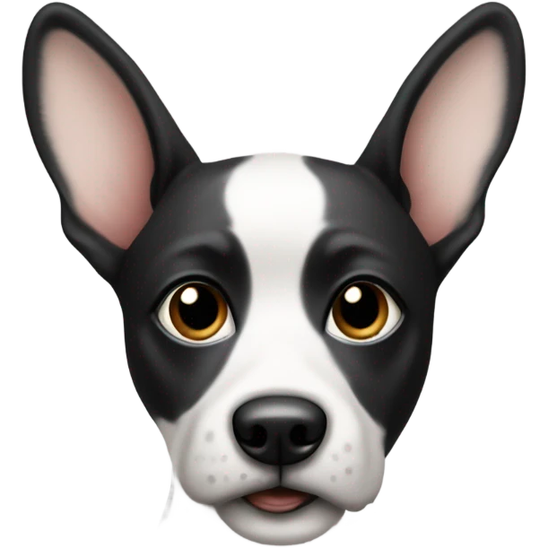 a dog with a black and white face, large ears. emoji
