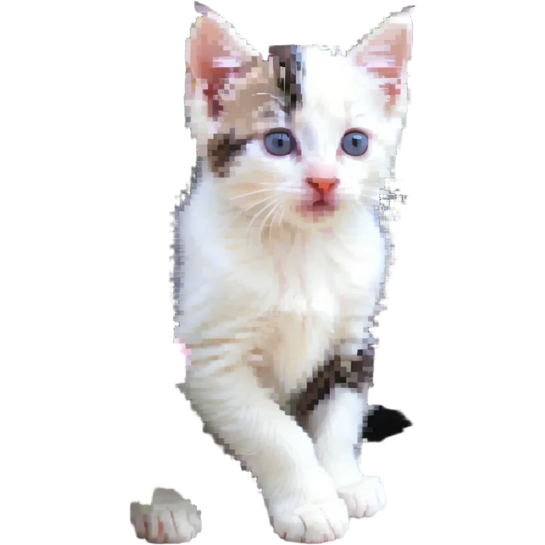 Kitten smells flowers emoji
