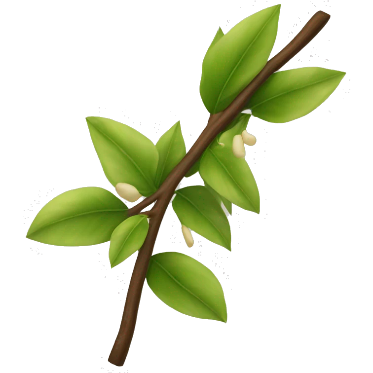 vanilla branch emoji