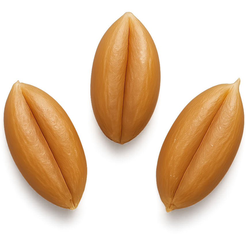 three grains, realistic, detailed emoji