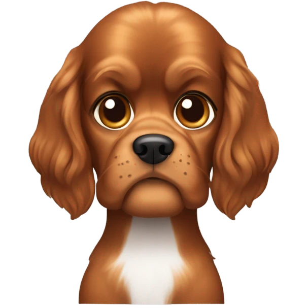 White brunette Man with cavalier dog  emoji