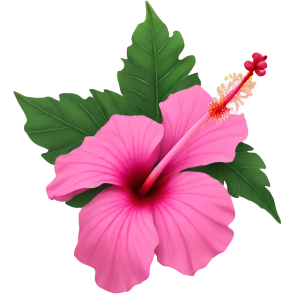 pink hibiscus emoji