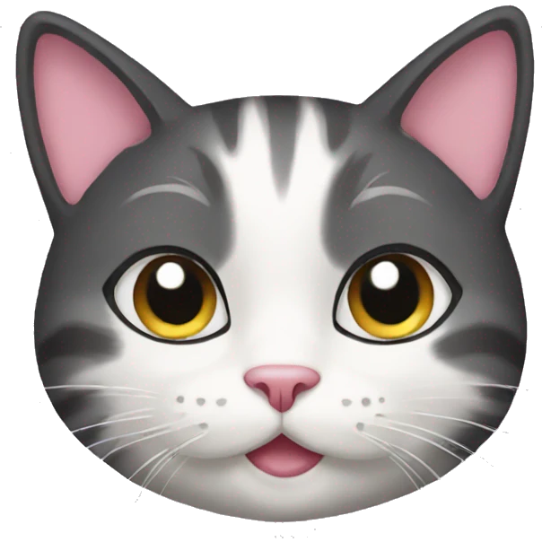 Cat with 🎀 emoji