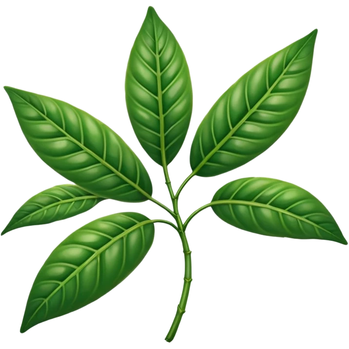 hoja de cafeto emoji