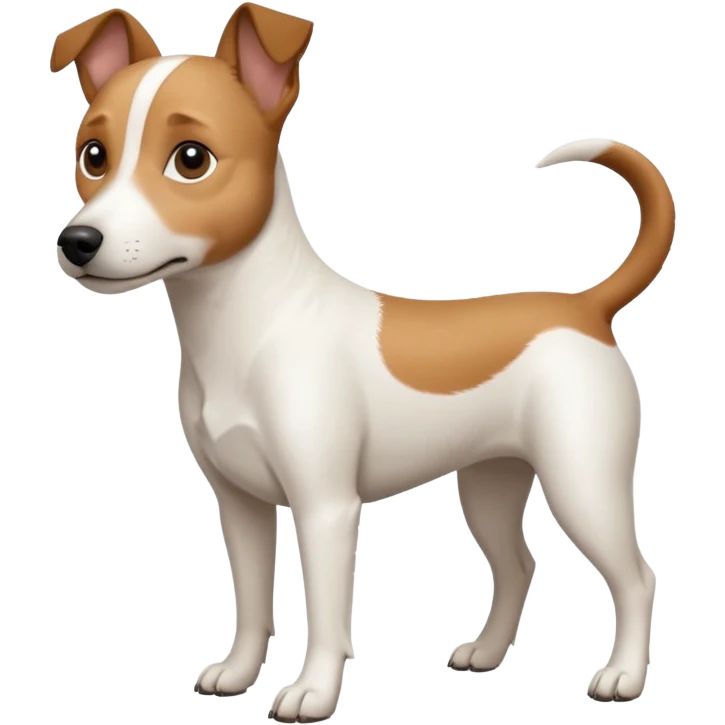 a full body white jack russel looking dog the size of a kelpie with light brown ears and a light brown patch on one eye and a large snout emoji
