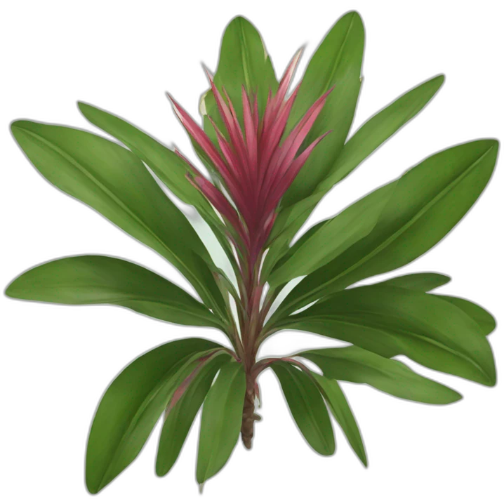 Cordyle cataphracte emoji