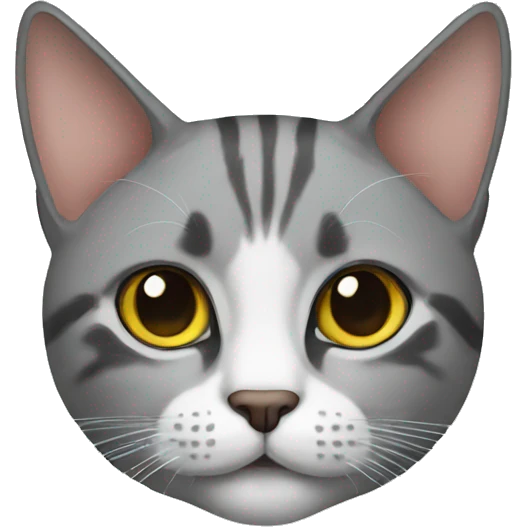 Cat emoji