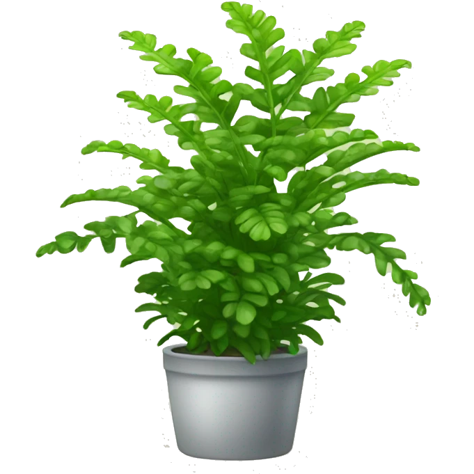 nephrolepis exaltata plant emoji