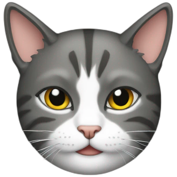 A hacker cat emoji