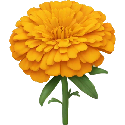 marigold emoji