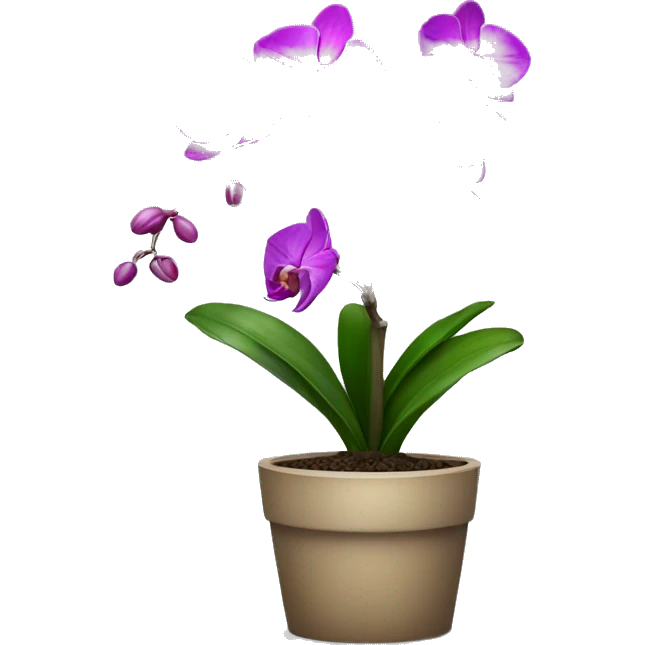 Orchid plant emoji