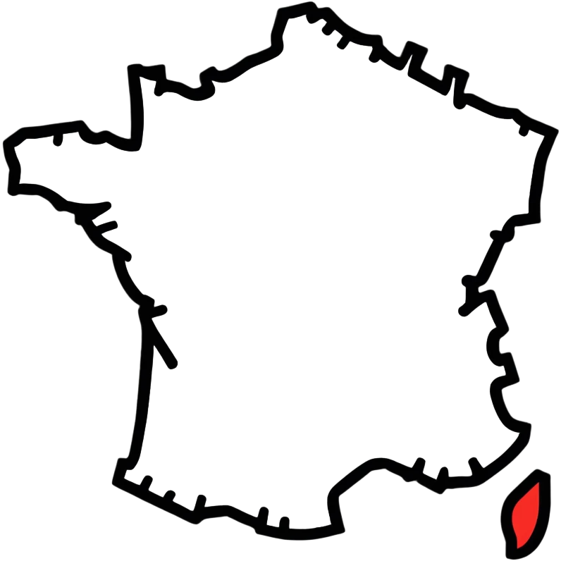 France map with flag colors emoji
