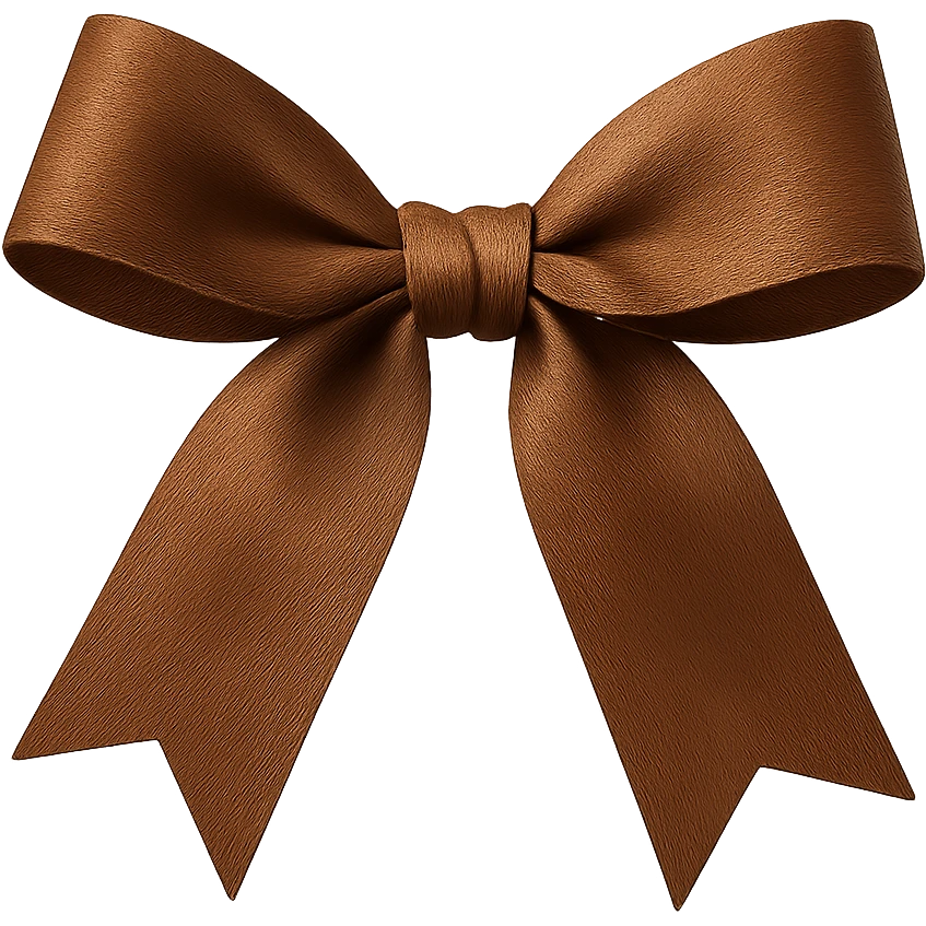 brown bow, remove background emoji