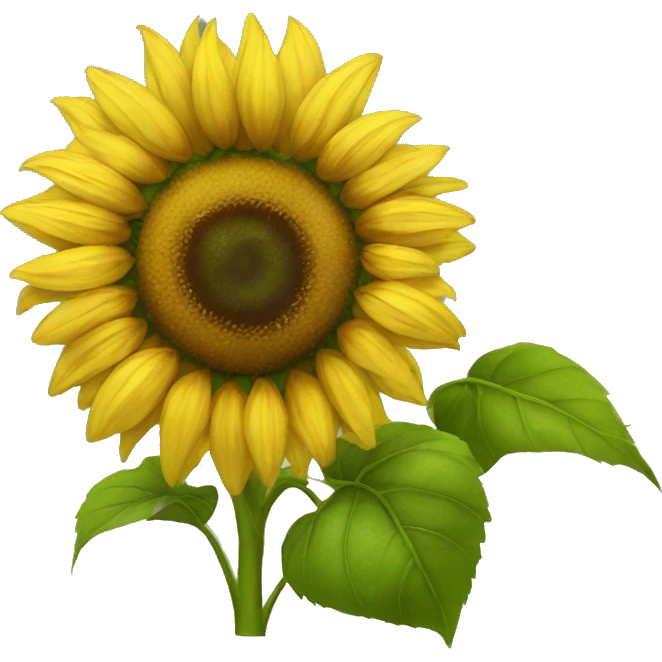 Sunflower  emoji