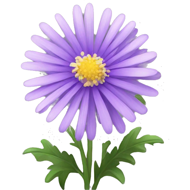 aster flower emoji