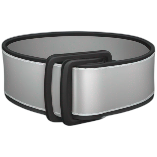 accesory-drive-belt emoji
