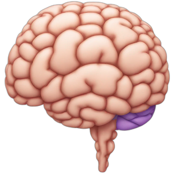 brain emoji
