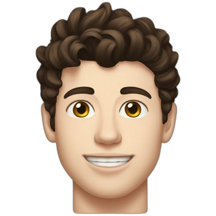 Shawn mendes emoji