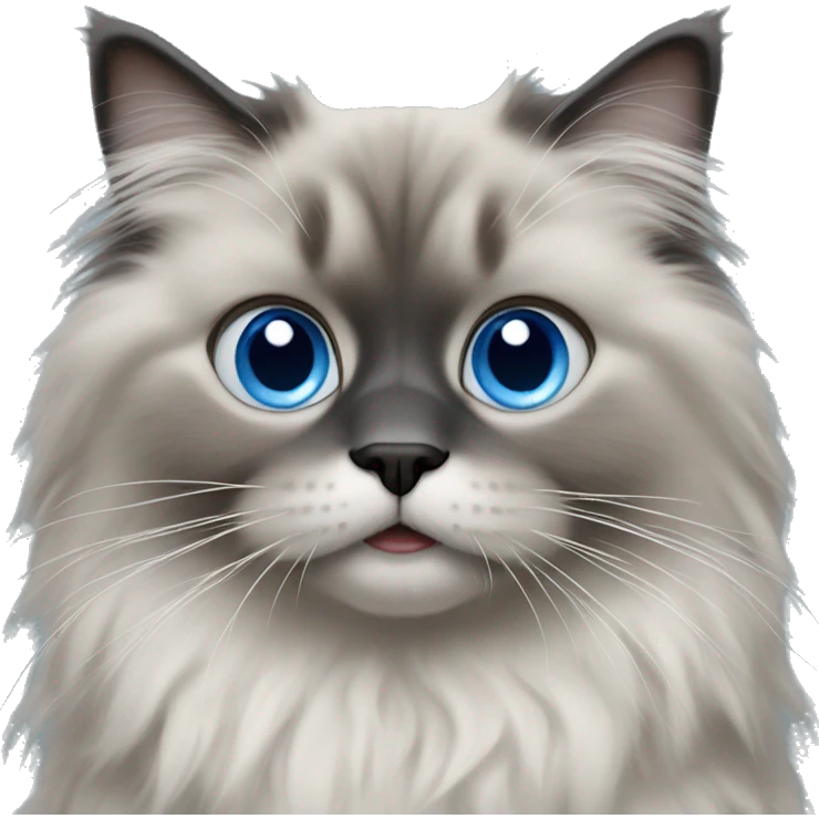Fluffy ragdoll with fully grey face and blue eyes  emoji