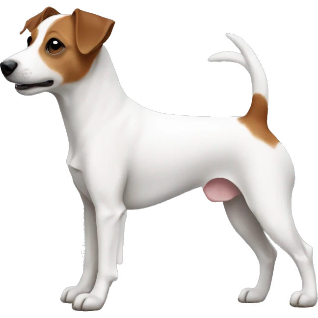 Jackrussell body side emoji