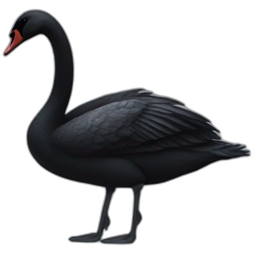 black swan emoji