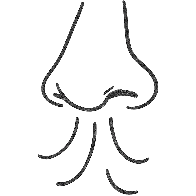 hand drawn outlined icon of a nose breathing, sketch style emoji