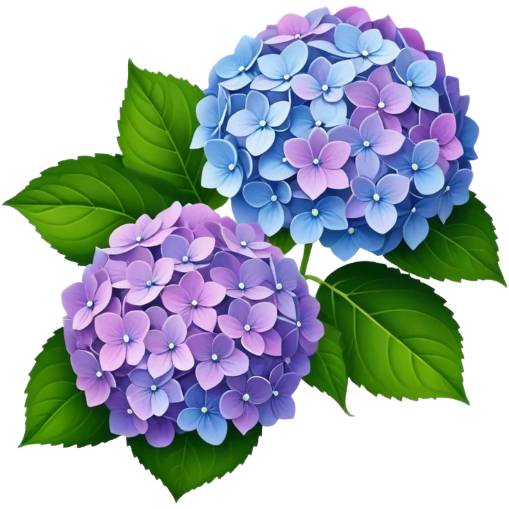 Hydrangea  emoji