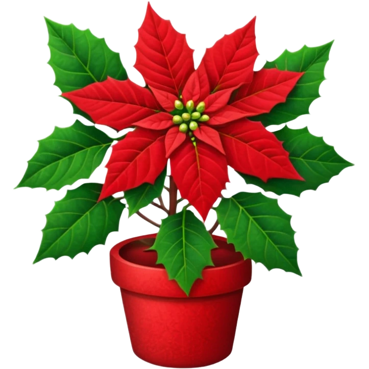 small christmas Poinsettia  emoji