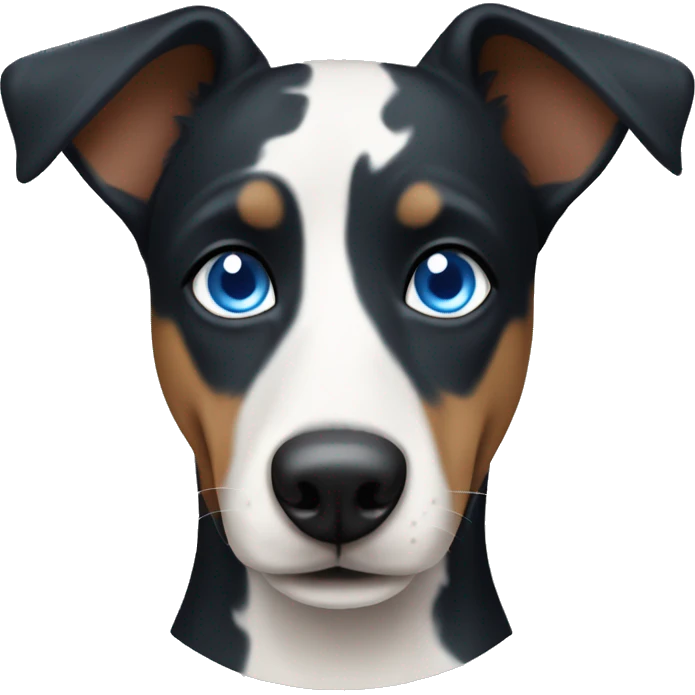 Patchy cute dog with blue eyes kelpie  emoji
