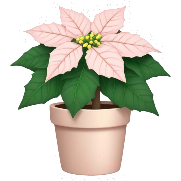 Pale blush pink poinsettia plant  emoji