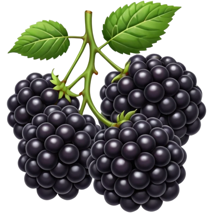 black color blackberries emoji