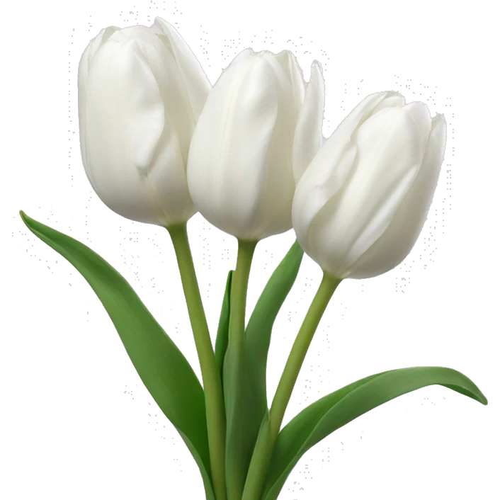 white tulips emoji