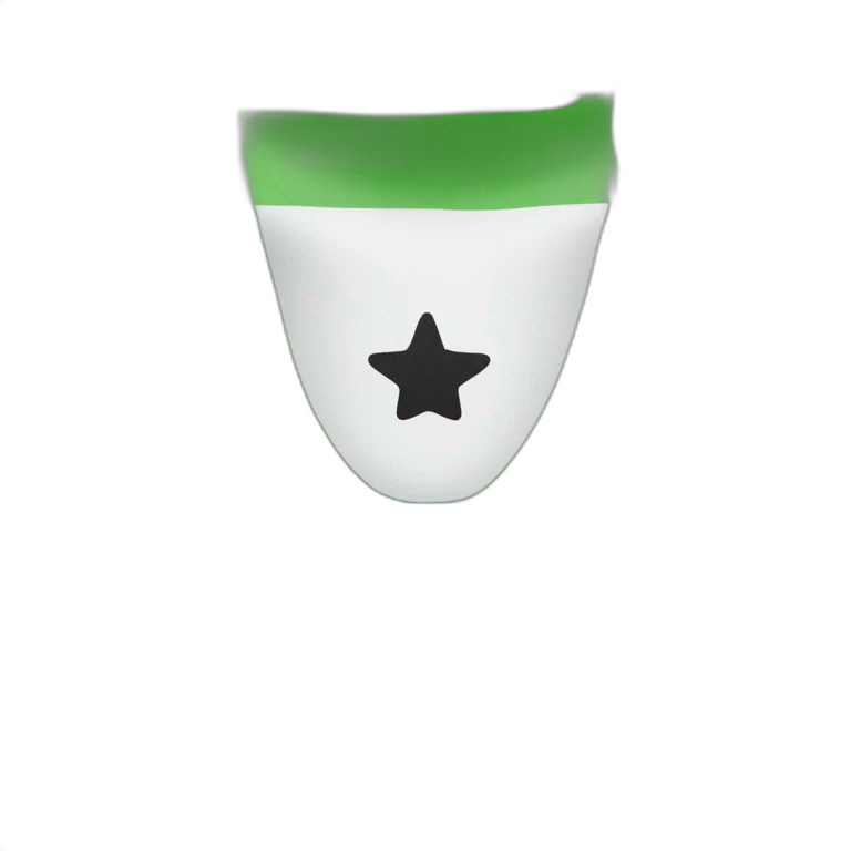 A flag consisting of three sections in width, the upper section is green and the middle section is white. It contains: Three stars next to each other, and the lower part is black emoji