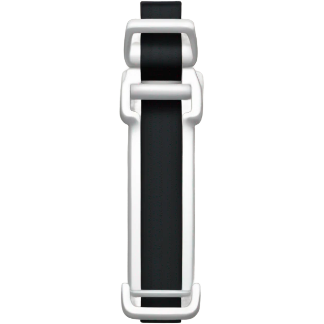 seat belt in the car emoji